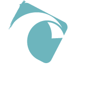 Feeling Kite – kitesurf Guadeloupe – cours et location - Ecole de kitesurf en Guadeloupe a Saint Anne – cours collectifs et particulier – stages kitesurf – de l'initiation au perfectionnement – coaching – foil – location de kite et downwind –